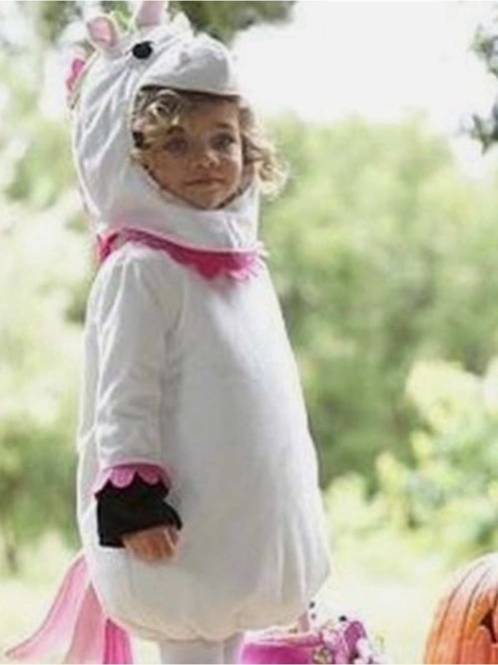 Pottery Barn kids UNICORN
